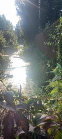 чистка канав